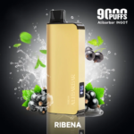 REBENA